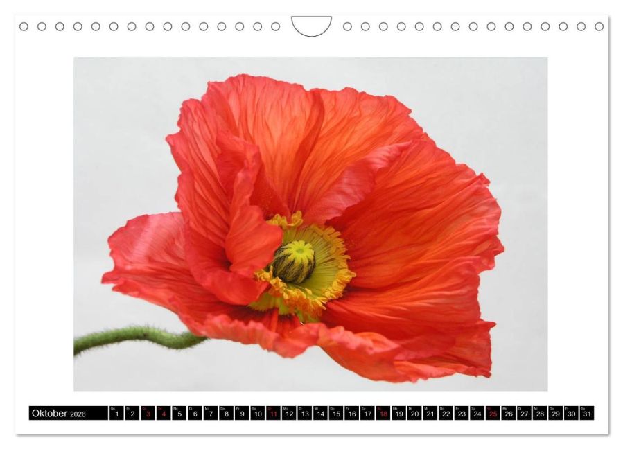 additionalImage2
