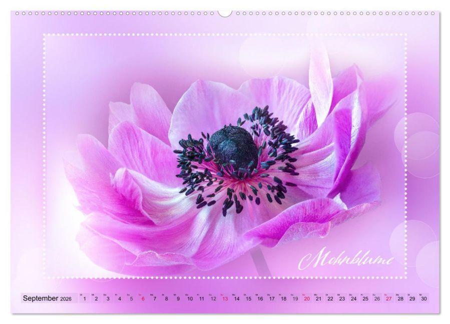 additionalImage13