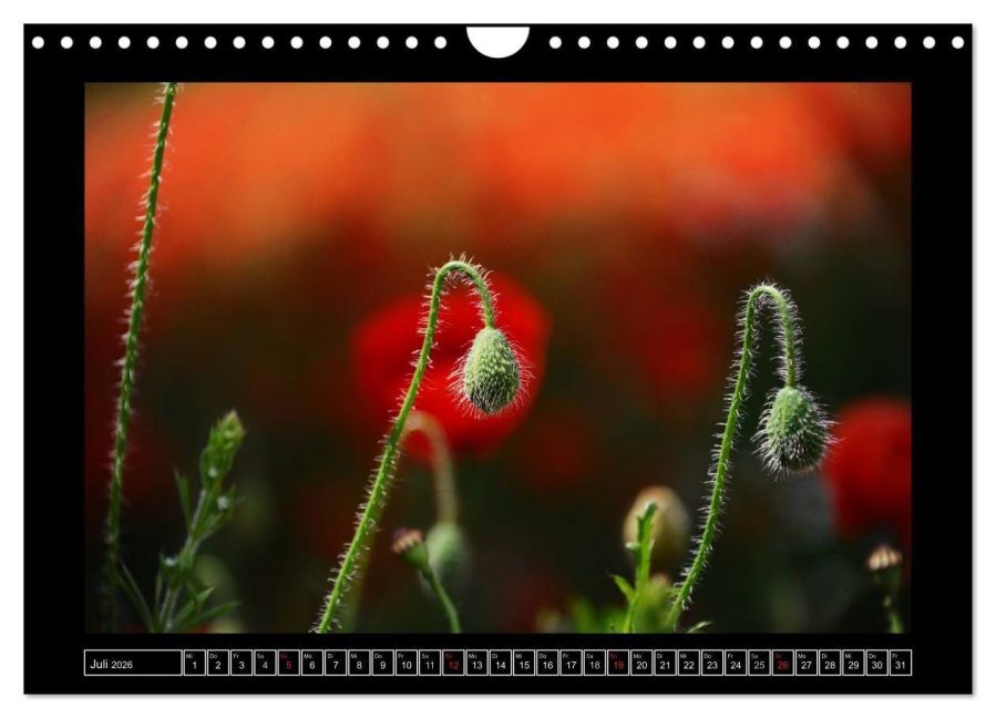 additionalImage12
