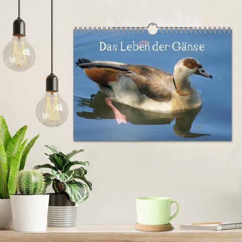 additionalImage1