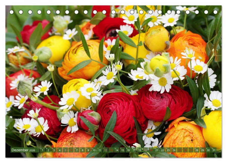 additionalImage4