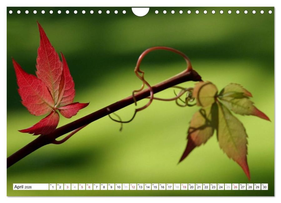 additionalImage9