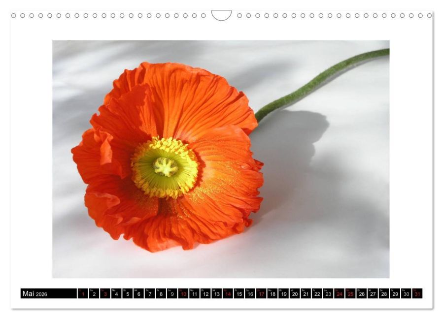 additionalImage10