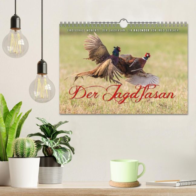 additionalImage1