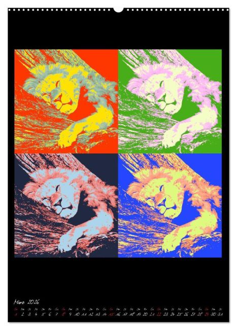 additionalImage8