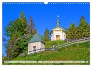 additionalImage7
