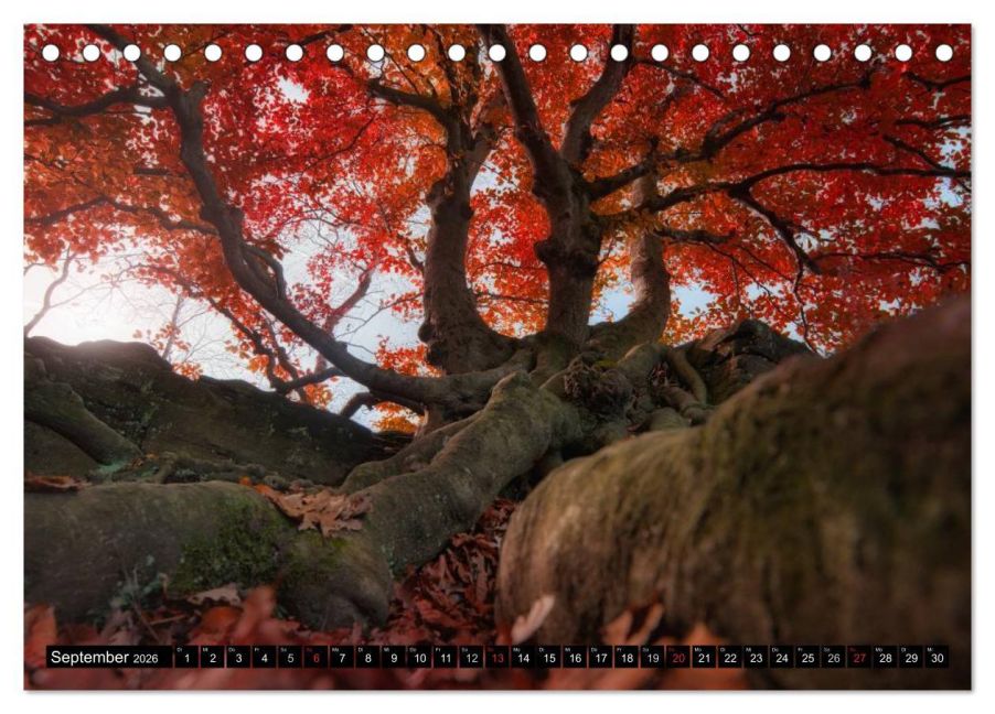 additionalImage14