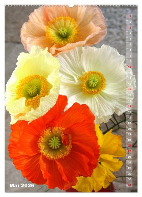 additionalImage10
