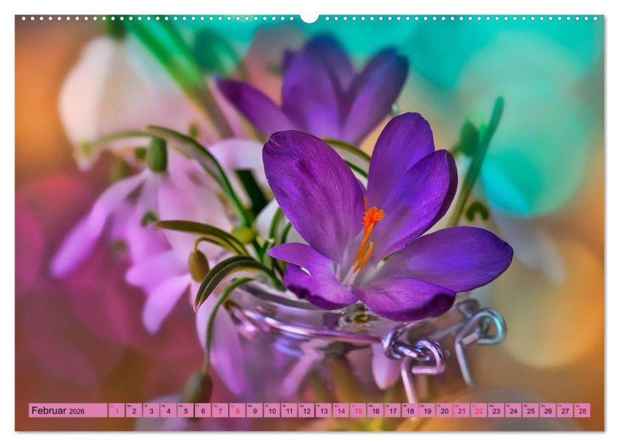 additionalImage6