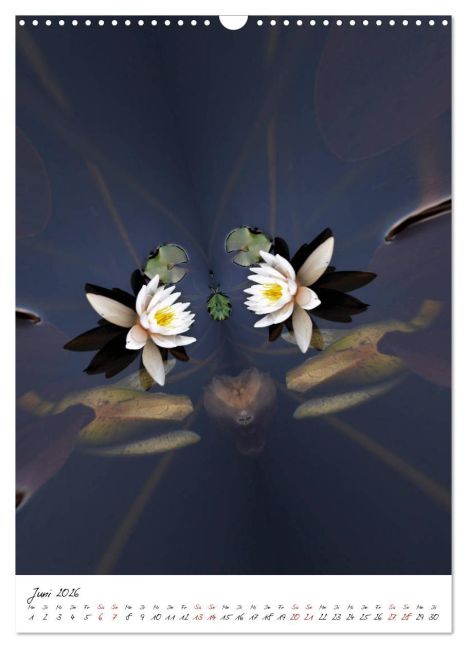 additionalImage11