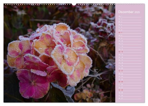 additionalImage4