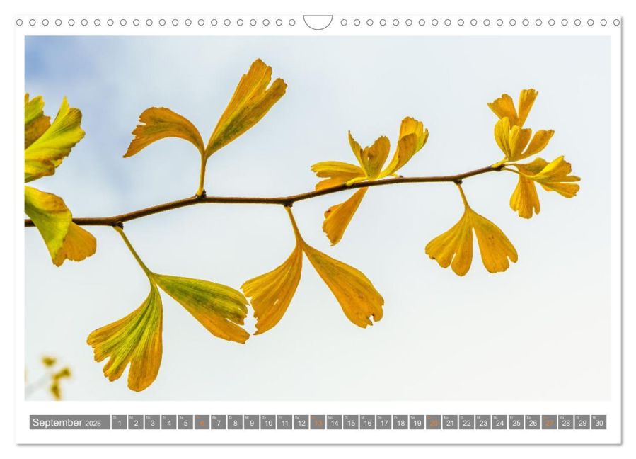 additionalImage14