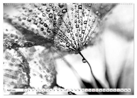 additionalImage9