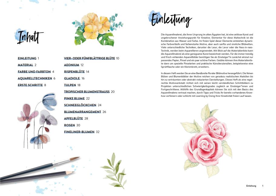 additionalImage1