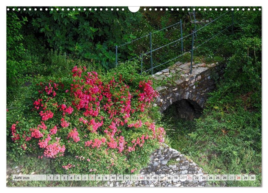 additionalImage11