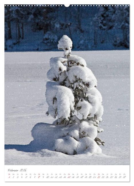 additionalImage6