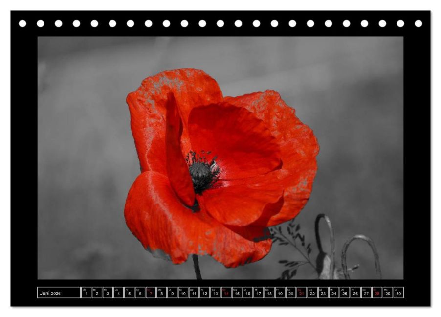 additionalImage11
