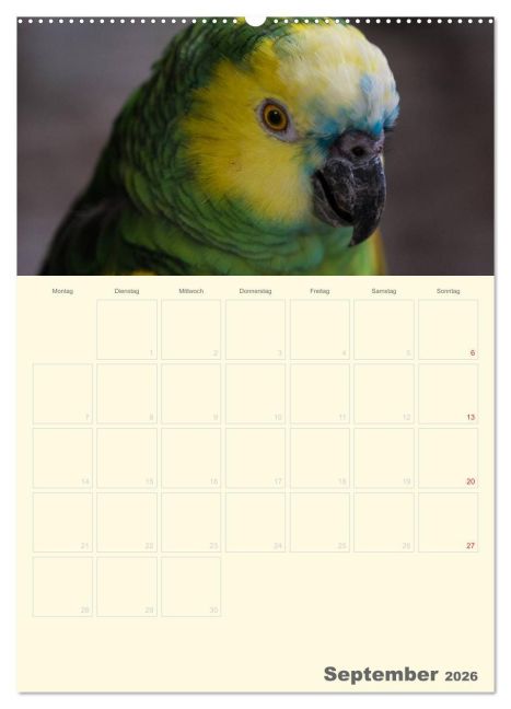 additionalImage13