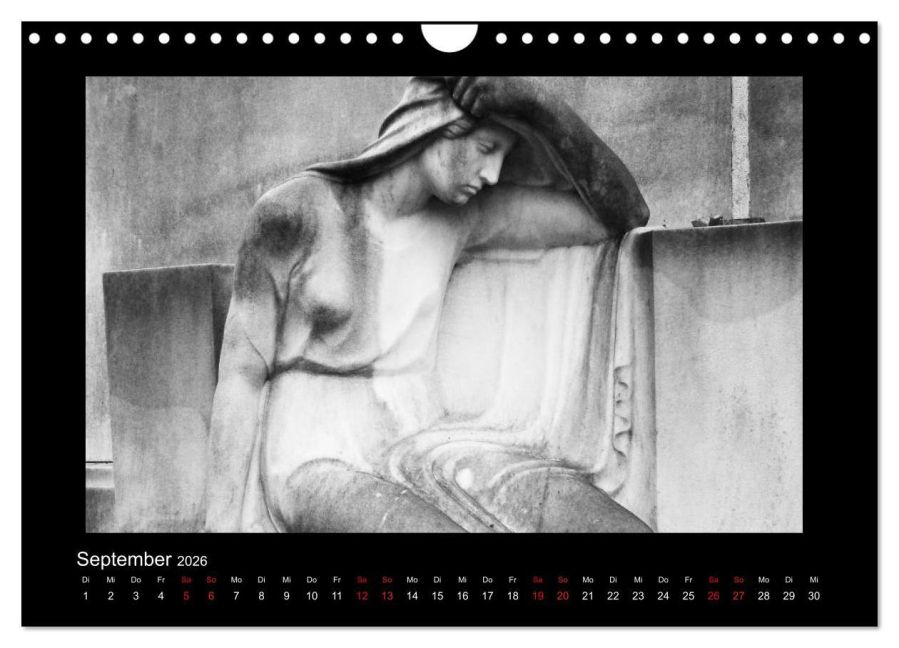 additionalImage14