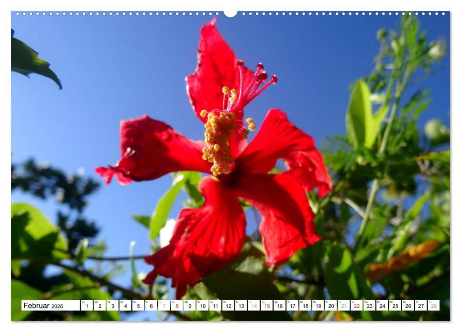 additionalImage6