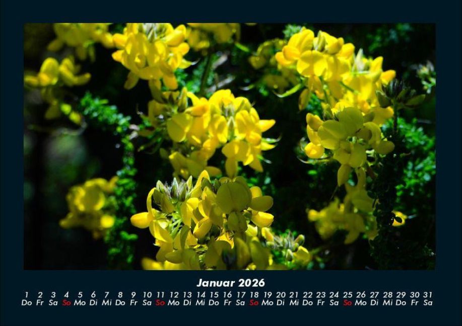 additionalImage5