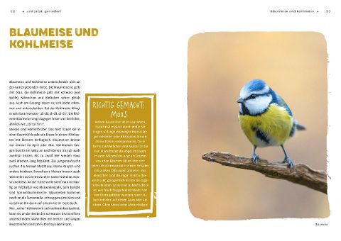 additionalImage1