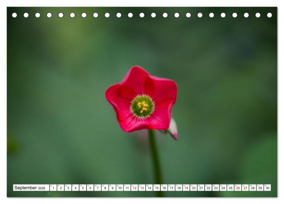additionalImage14