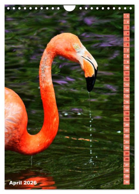 additionalImage9
