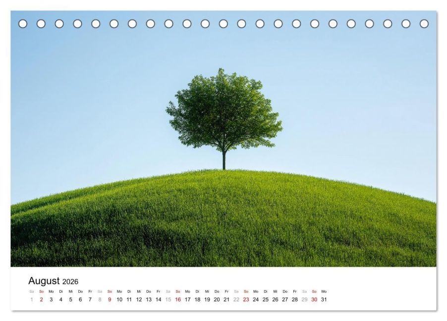 additionalImage13
