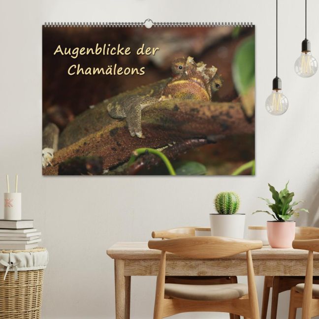 additionalImage1