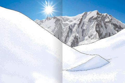 additionalImage1