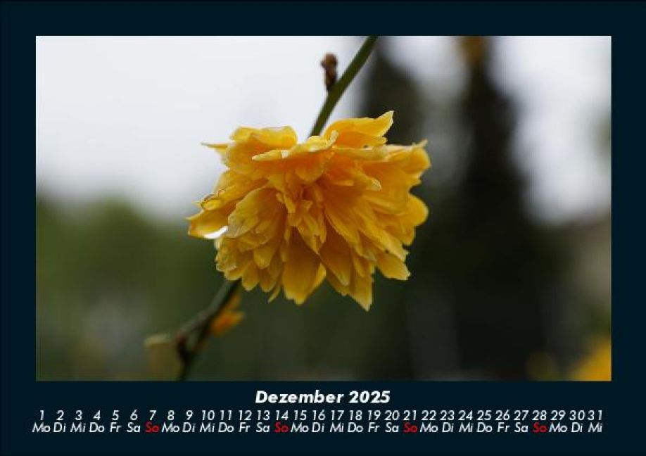 additionalImage4