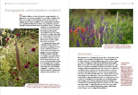 additionalImage2