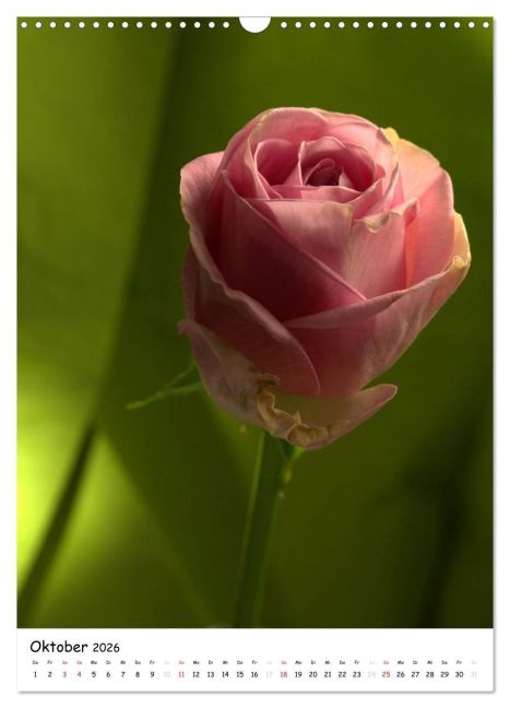 additionalImage2