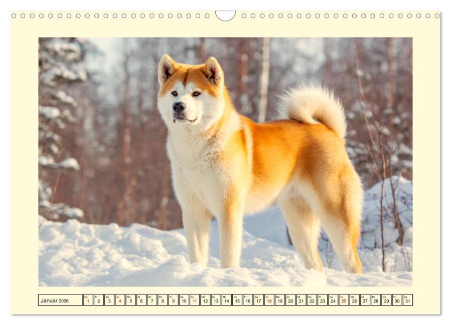 additionalImage6