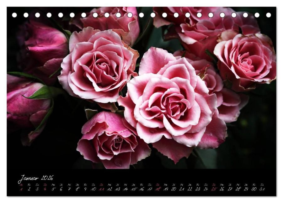 additionalImage6