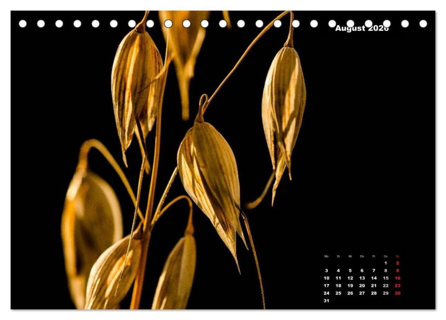 additionalImage13