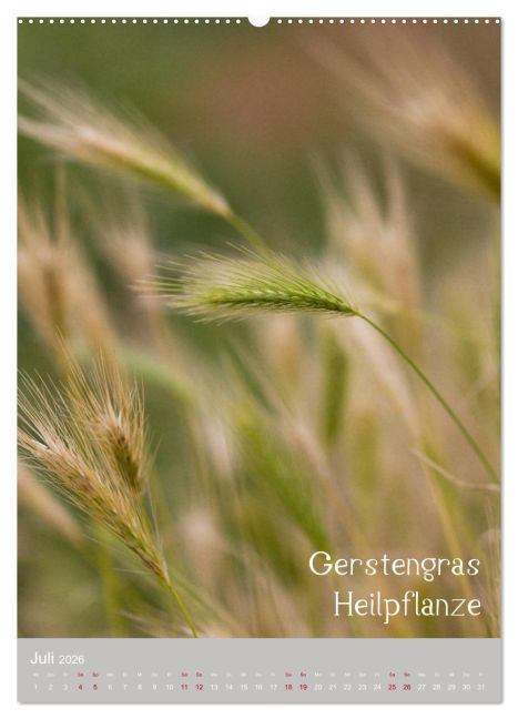 additionalImage12