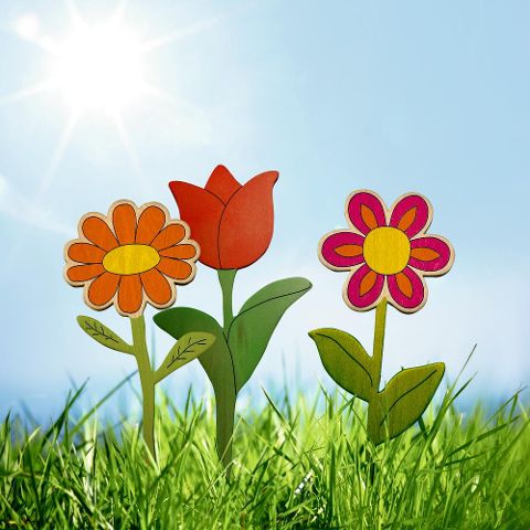 additionalImage1