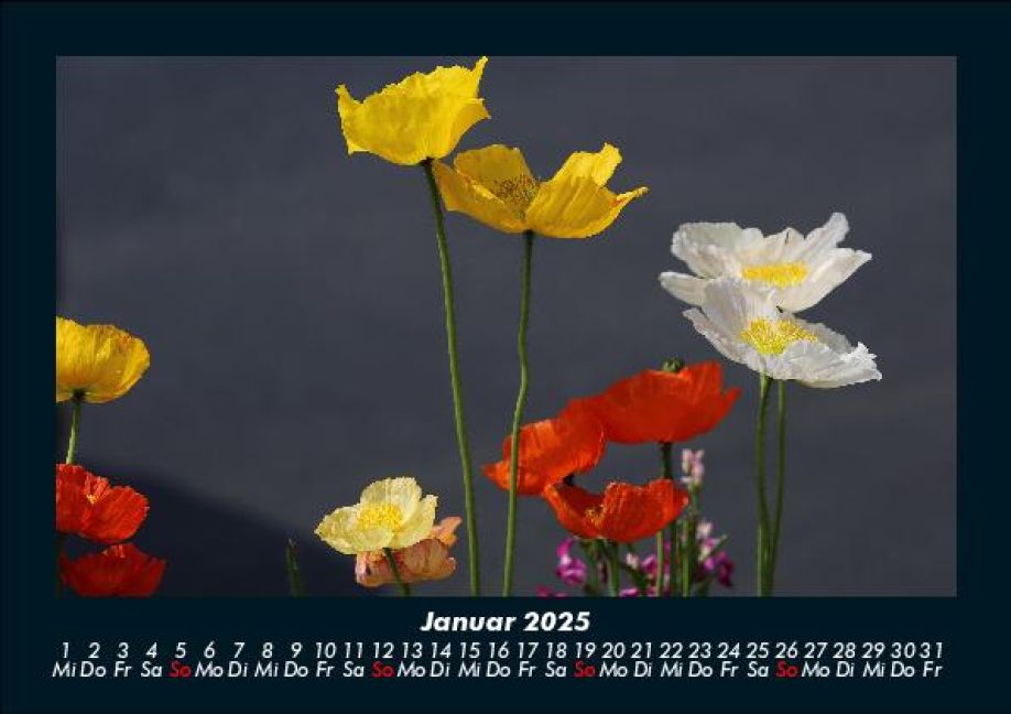 additionalImage5