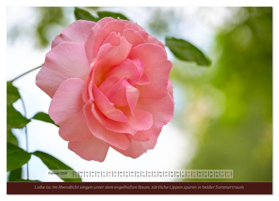 additionalImage6