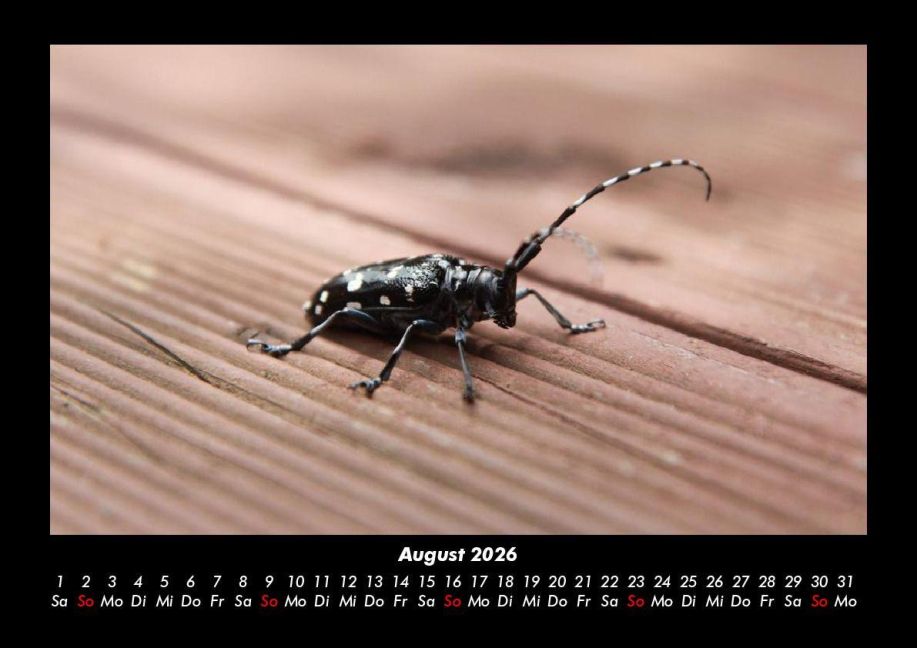 additionalImage12