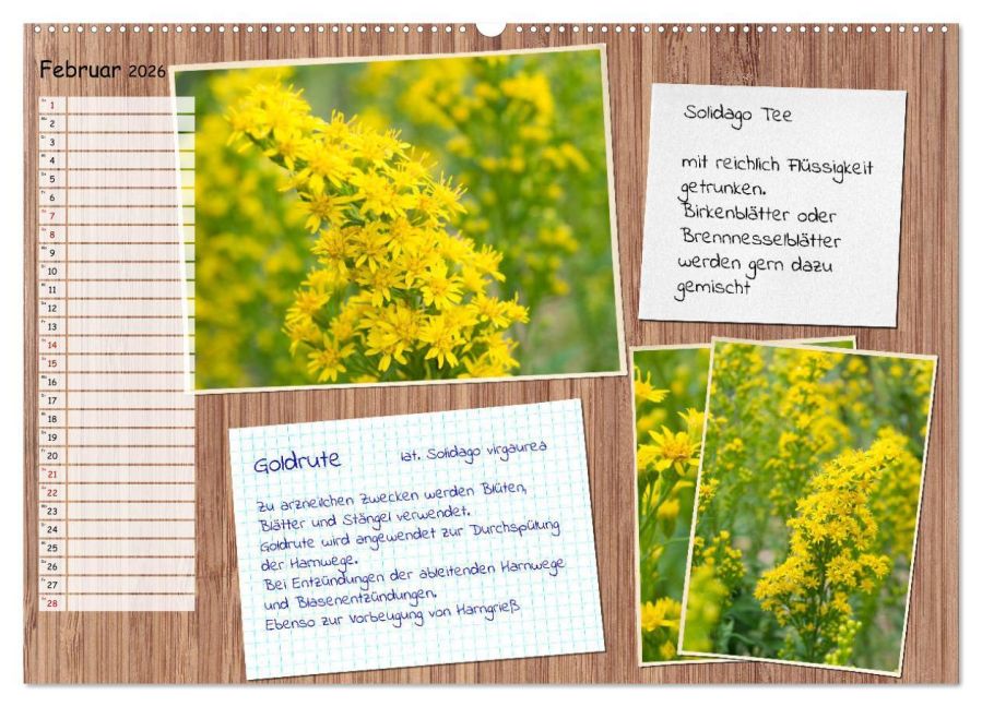 additionalImage6