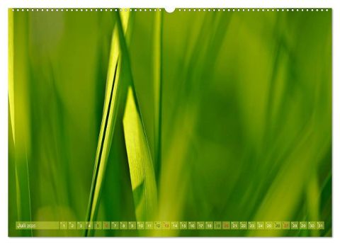 additionalImage12