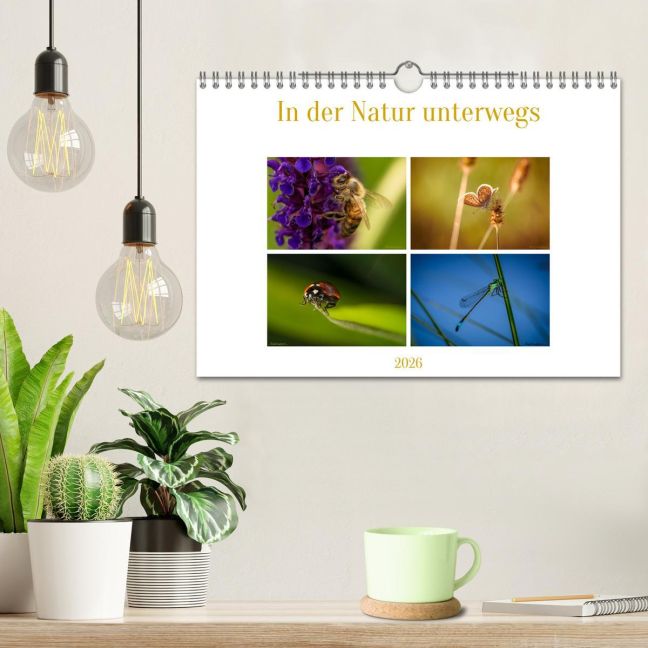 additionalImage1