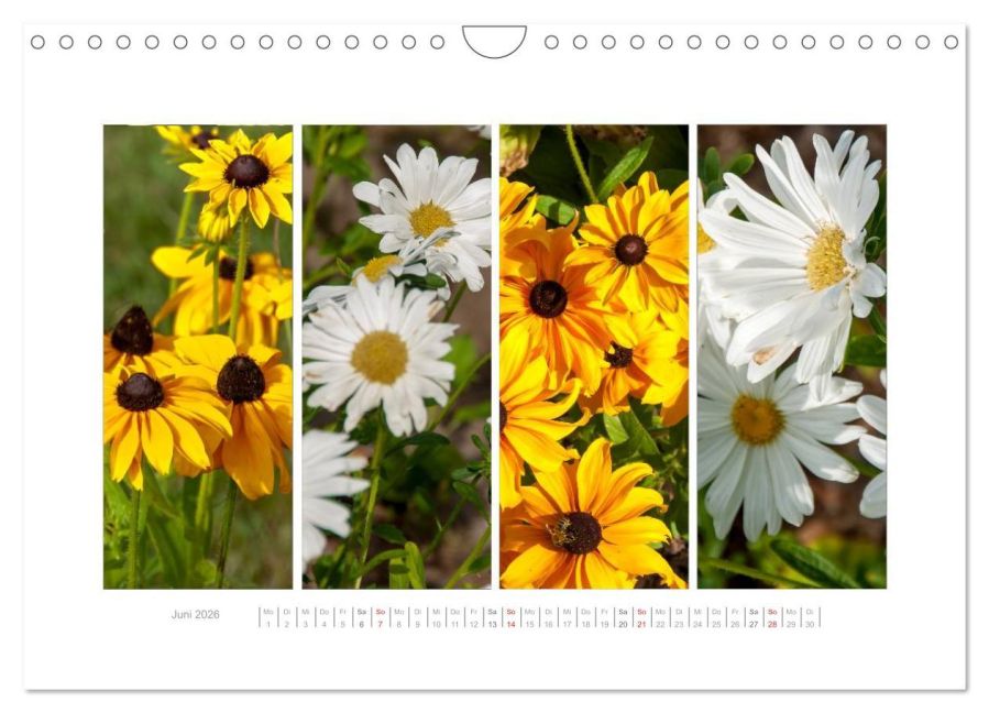 additionalImage11
