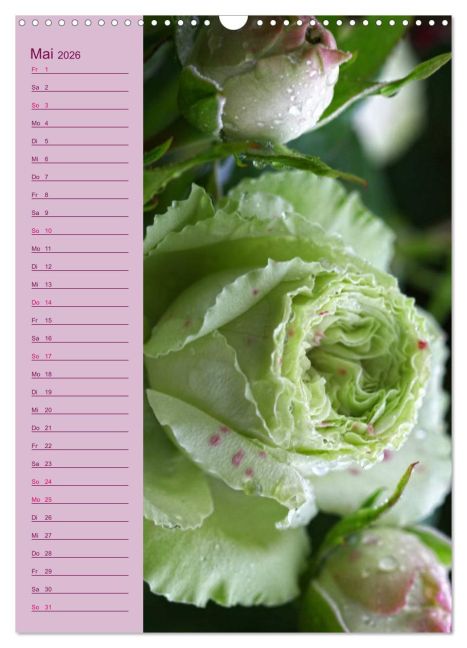 additionalImage10