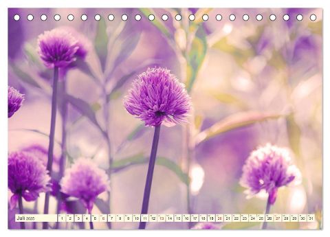 additionalImage7