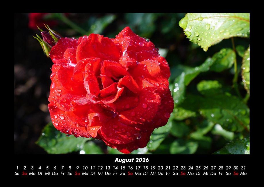 additionalImage12