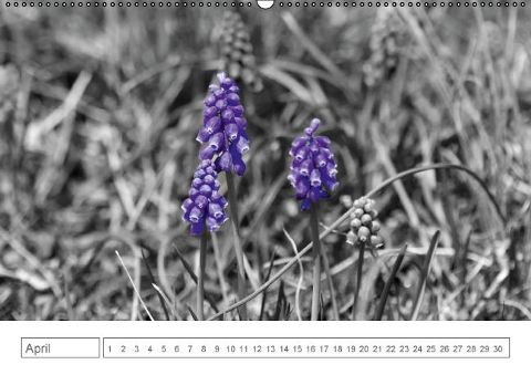 additionalImage4